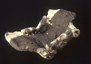 46 Trauform, anagama, terracotta, kaolinbegitning, 1994. L 35 cm. California, USA